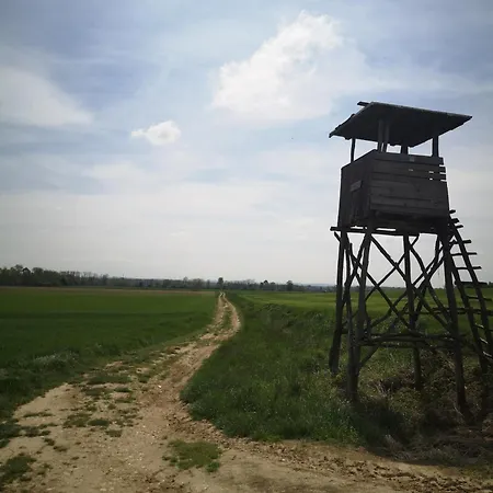 아파트 Apartma - Trobentica 28 *