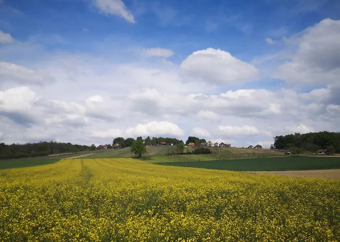 Apartment Apartma - Trobentica 28 *