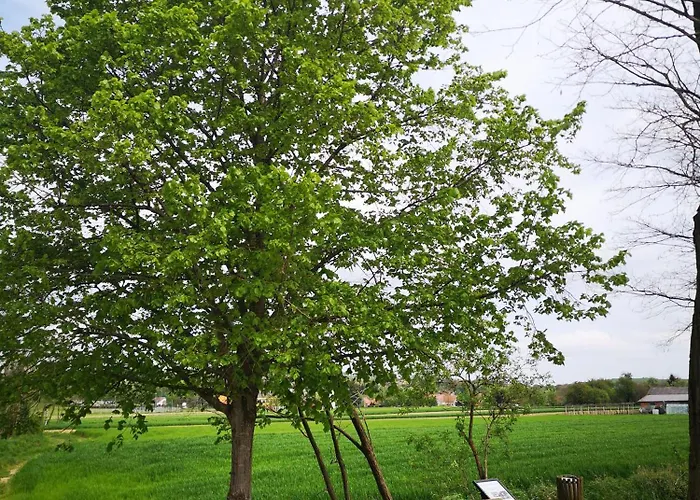 Apartma - Trobentica 28 Apartment *